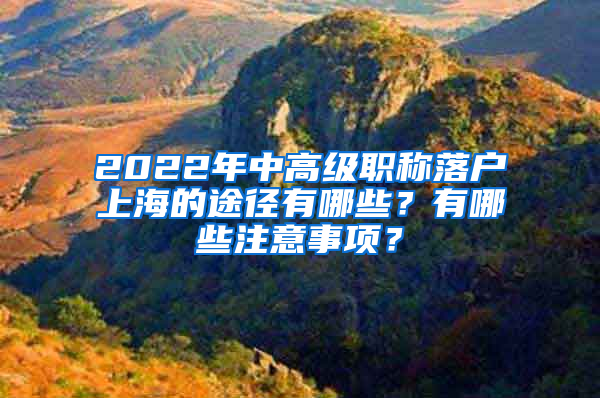 2022年中高級(jí)職稱落戶上海的途徑有哪些？有哪些注意事項(xiàng)？