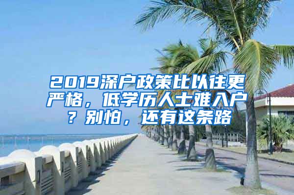 2019深戶政策比以往更嚴格，低學歷人士難入戶？別怕，還有這條路