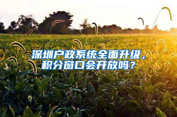 深圳戶政系統(tǒng)全面升級(jí)，積分窗口會(huì)開放嗎？