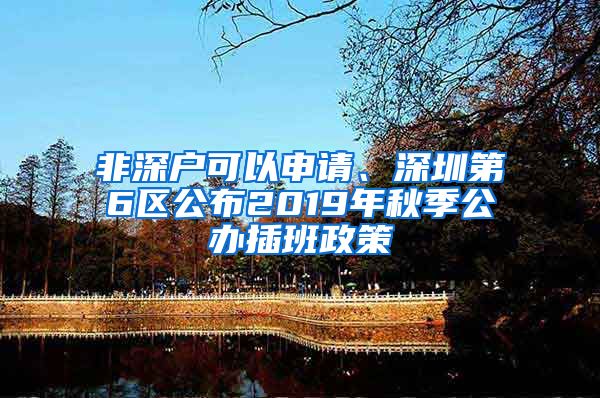 非深戶可以申請、深圳第6區(qū)公布2019年秋季公辦插班政策