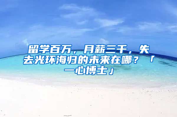 留學(xué)百萬，月薪三千，失去光環(huán)海歸的未來在哪？「一心博士」