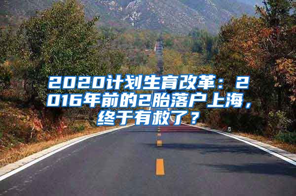 2020計劃生育改革：2016年前的2胎落戶上海，終于有救了？