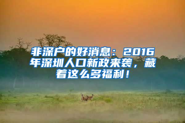 非深戶的好消息：2016年深圳人口新政來襲，藏著這么多福利！