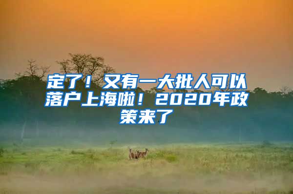 定了！又有一大批人可以落戶上海啦！2020年政策來了