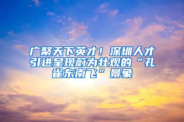 廣聚天下英才！深圳人才引進(jìn)呈現(xiàn)蔚為壯觀的“孔雀東南飛”景象