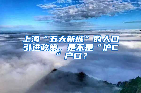 上?！拔宕笮鲁恰钡娜丝谝M(jìn)政策，是不是“滬C”戶口？