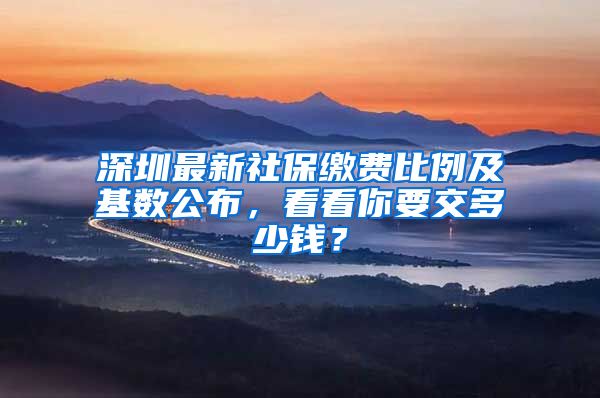 深圳最新社保繳費(fèi)比例及基數(shù)公布，看看你要交多少錢(qián)？