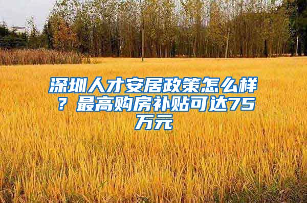 深圳人才安居政策怎么樣？最高購房補貼可達75萬元