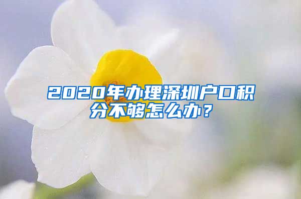 2020年辦理深圳戶口積分不夠怎么辦？