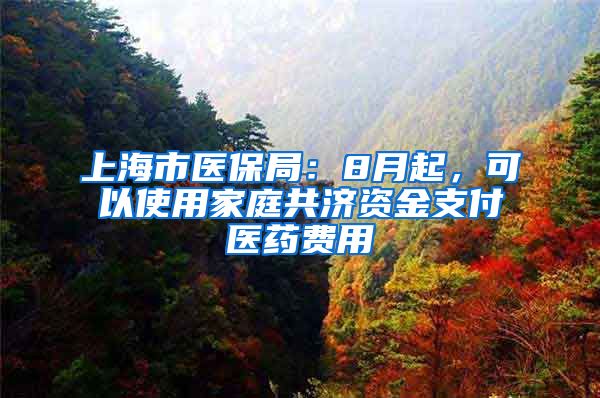 上海市醫(yī)保局：8月起，可以使用家庭共濟(jì)資金支付醫(yī)藥費用