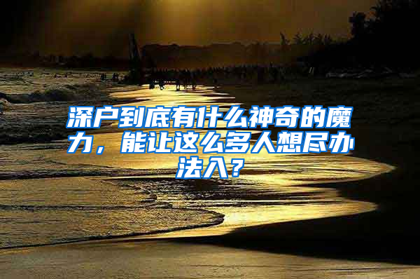 深戶(hù)到底有什么神奇的魔力，能讓這么多人想盡辦法入？