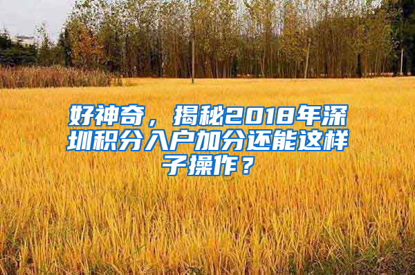 好神奇，揭秘2018年深圳積分入戶加分還能這樣子操作？