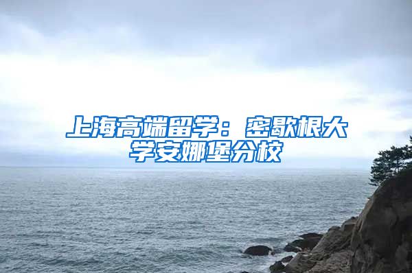 上海高端留學(xué)：密歇根大學(xué)安娜堡分校