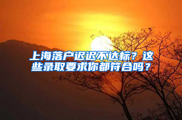 上海落戶遲遲不達標？這些錄取要求你都符合嗎？