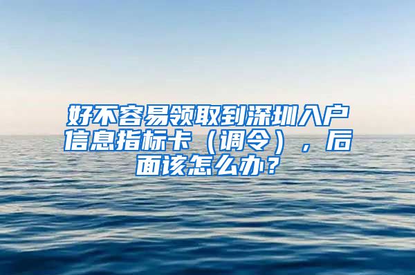 好不容易領取到深圳入戶信息指標卡（調令），后面該怎么辦？