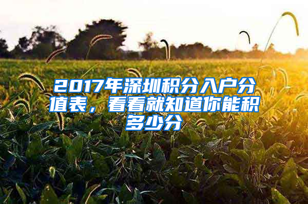 2017年深圳積分入戶分值表，看看就知道你能積多少分