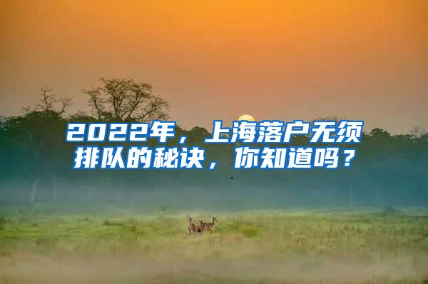 2022年，上海落戶無(wú)須排隊(duì)的秘訣，你知道嗎？