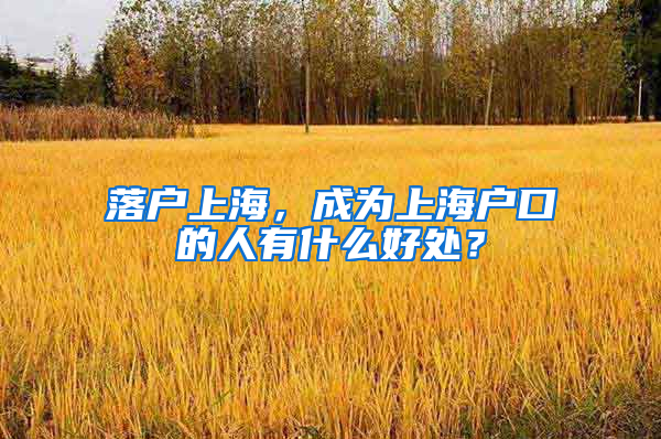 落戶上海，成為上海戶口的人有什么好處？