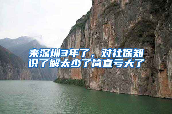 來深圳3年了，對社保知識了解太少了簡直虧大了