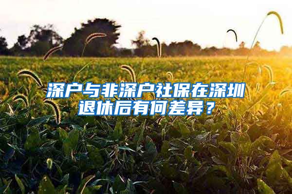 深戶與非深戶社保在深圳退休后有何差異？