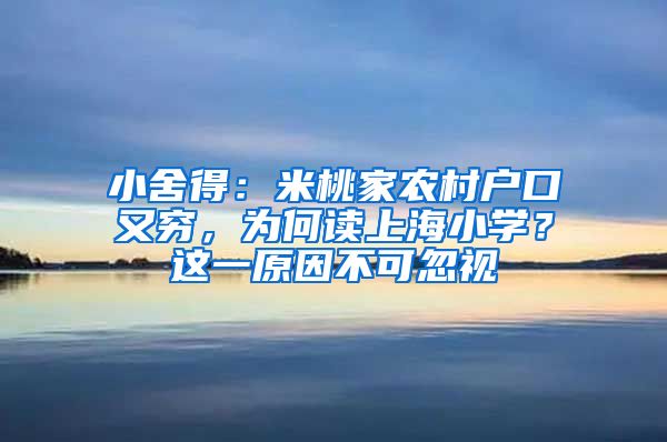 小舍得：米桃家農(nóng)村戶口又窮，為何讀上海小學？這一原因不可忽視