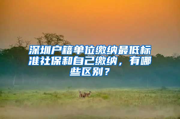 深圳戶籍單位繳納最低標準社保和自己繳納，有哪些區(qū)別？