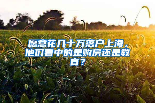 愿意花幾十萬落戶上海，他們看中的是購房還是教育？