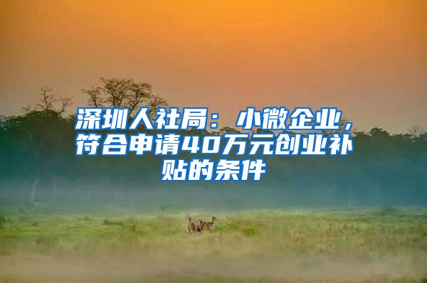 深圳人社局：小微企業(yè)，符合申請40萬元?jiǎng)?chuàng)業(yè)補(bǔ)貼的條件