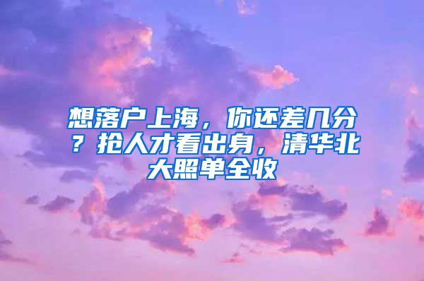 想落戶上海，你還差幾分？搶人才看出身，清華北大照單全收