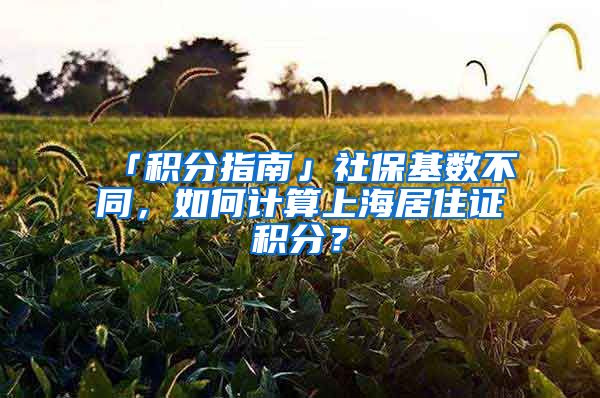 「積分指南」社?；鶖?shù)不同，如何計算上海居住證積分？