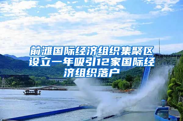 前灘國(guó)際經(jīng)濟(jì)組織集聚區(qū)設(shè)立一年吸引12家國(guó)際經(jīng)濟(jì)組織落戶(hù)