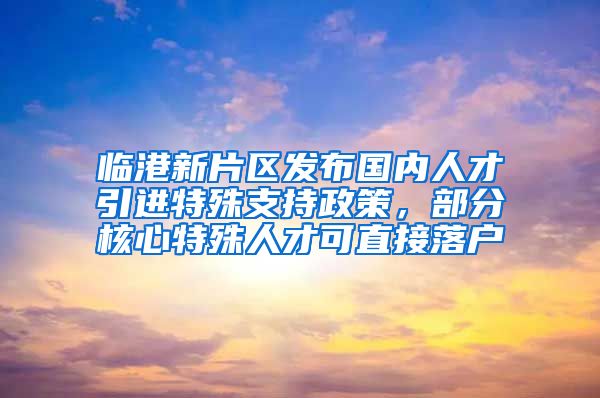 臨港新片區(qū)發(fā)布國內(nèi)人才引進(jìn)特殊支持政策，部分核心特殊人才可直接落戶