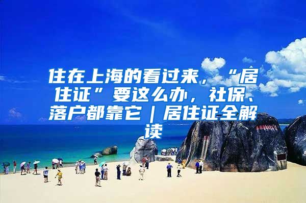 住在上海的看過來，“居住證”要這么辦，社保、落戶都靠它｜居住證全解讀