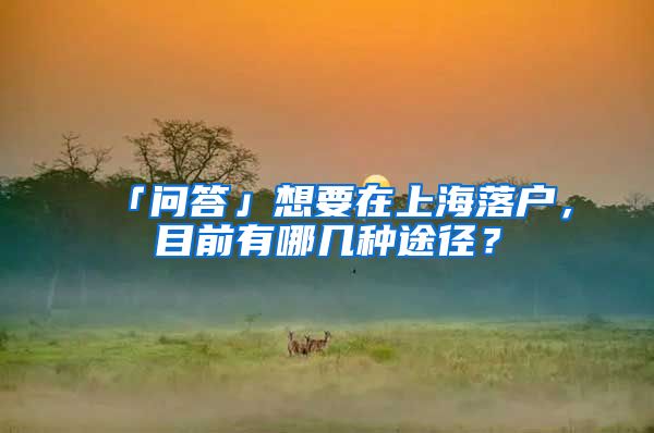 「問(wèn)答」想要在上海落戶(hù)，目前有哪幾種途徑？