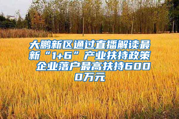 大鵬新區(qū)通過直播解讀最新“1+6”產(chǎn)業(yè)扶持政策 企業(yè)落戶最高扶持6000萬元