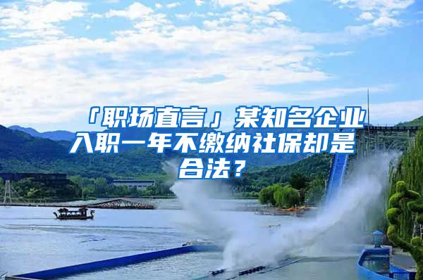 「職場(chǎng)直言」某知名企業(yè)入職一年不繳納社保卻是合法？