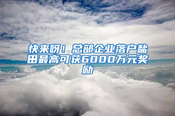 快來呀！總部企業(yè)落戶鹽田最高可獲6000萬元獎勵