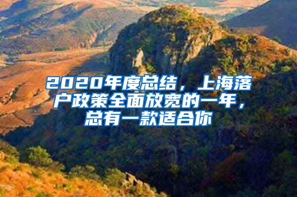 2020年度總結，上海落戶政策全面放寬的一年，總有一款適合你