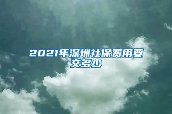 2021年深圳社保費(fèi)用要交多少