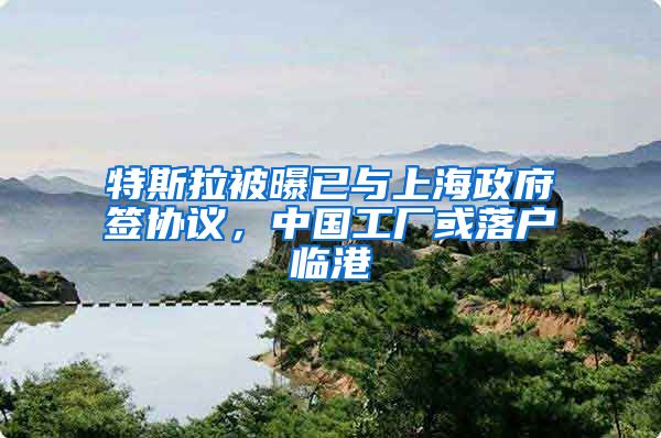 特斯拉被曝已與上海政府簽協(xié)議，中國工廠或落戶臨港