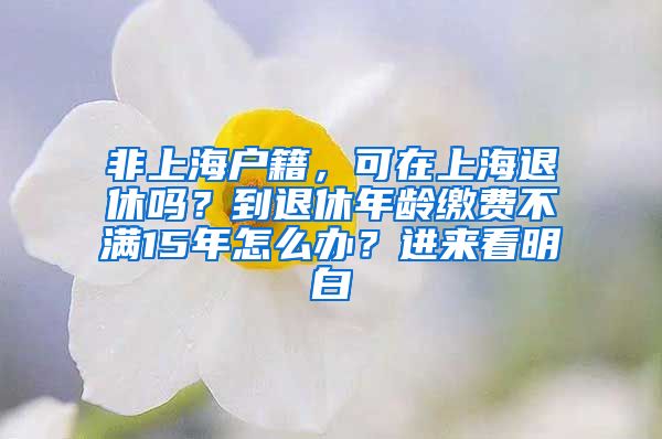 非上海戶籍，可在上海退休嗎？到退休年齡繳費(fèi)不滿15年怎么辦？進(jìn)來(lái)看明白