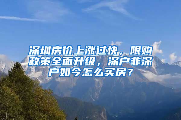 深圳房?jī)r(jià)上漲過(guò)快，限購(gòu)政策全面升級(jí)，深戶(hù)非深戶(hù)如今怎么買(mǎi)房？