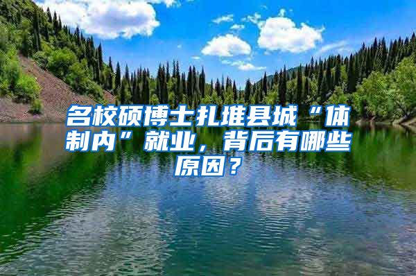 名校碩博士扎堆縣城“體制內(nèi)”就業(yè)，背后有哪些原因？