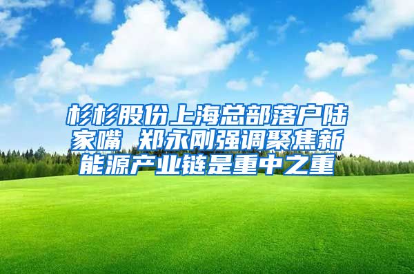 杉杉股份上?？偛柯鋺絷懠易?鄭永剛強(qiáng)調(diào)聚焦新能源產(chǎn)業(yè)鏈?zhǔn)侵刂兄?/></p>
			 <p style=