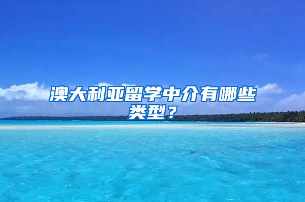 澳大利亞留學(xué)中介有哪些類型？