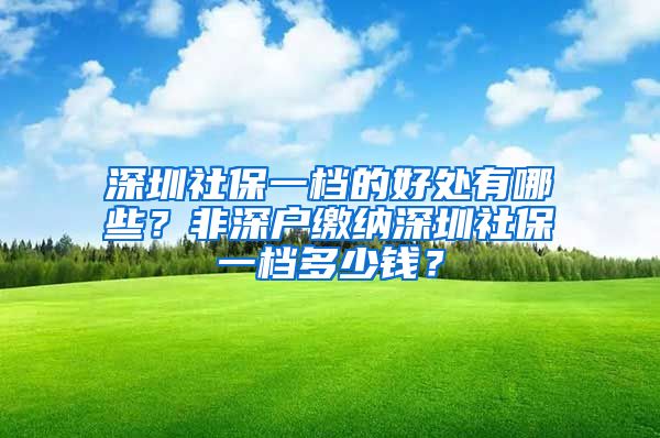 深圳社保一檔的好處有哪些？非深戶繳納深圳社保一檔多少錢？