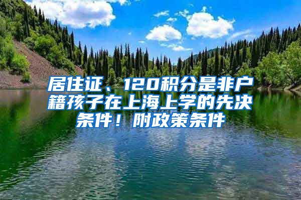 居住證、120積分是非戶籍孩子在上海上學的先決條件！附政策條件