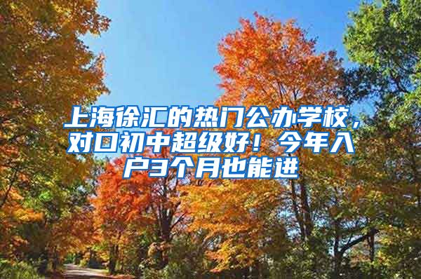 上海徐匯的熱門公辦學校，對口初中超級好！今年入戶3個月也能進