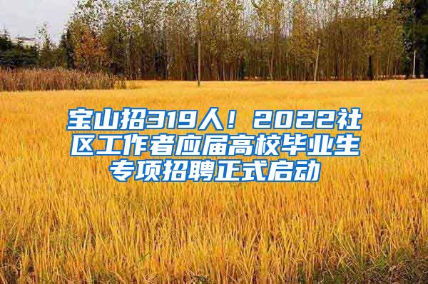 寶山招319人！2022社區(qū)工作者應(yīng)屆高校畢業(yè)生專項(xiàng)招聘正式啟動(dòng)