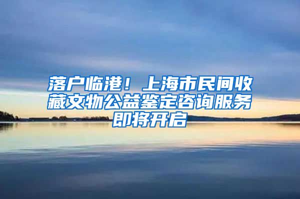 落戶臨港！上海市民間收藏文物公益鑒定咨詢服務即將開啟